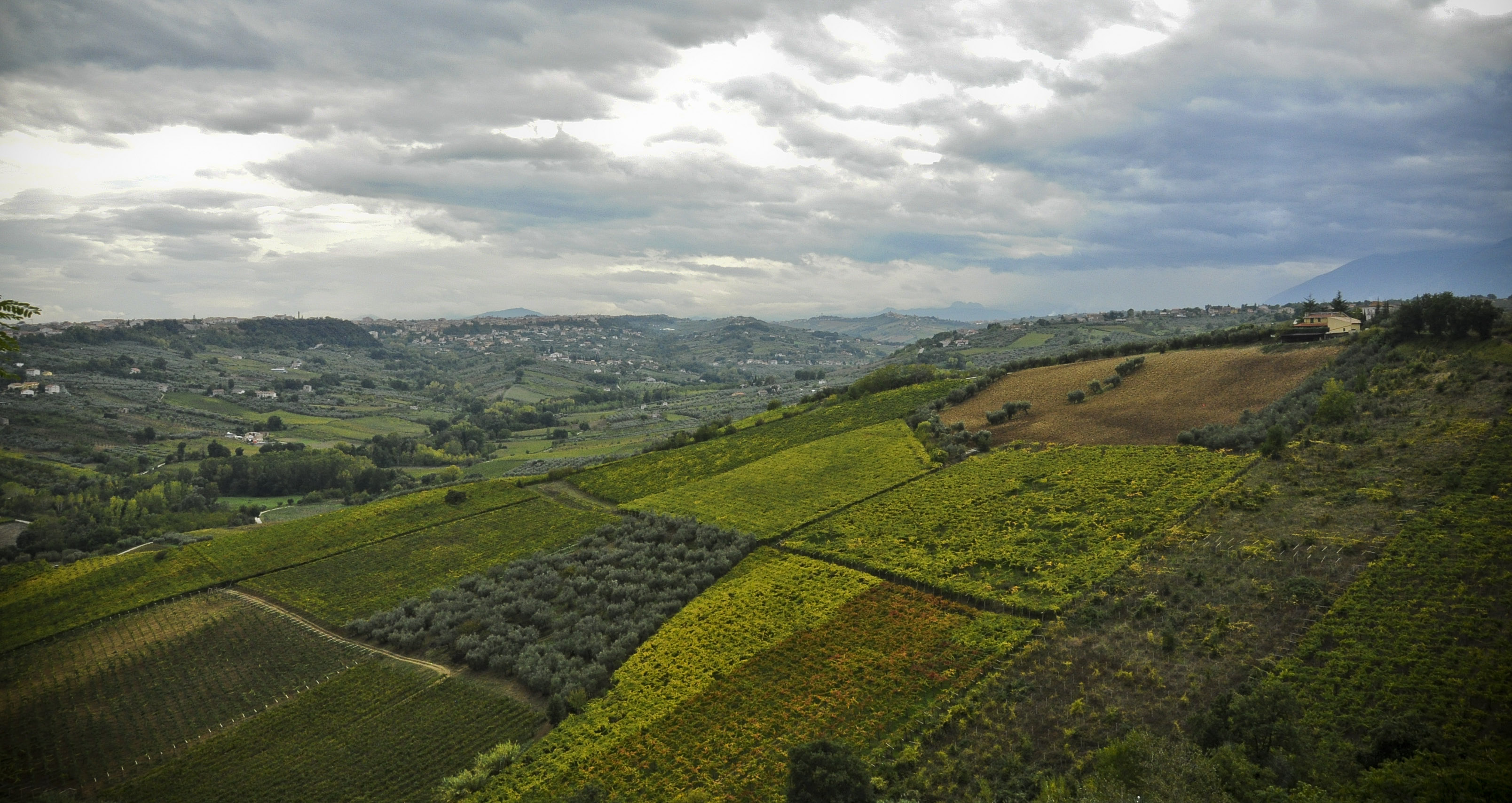 Valle del Feltrino